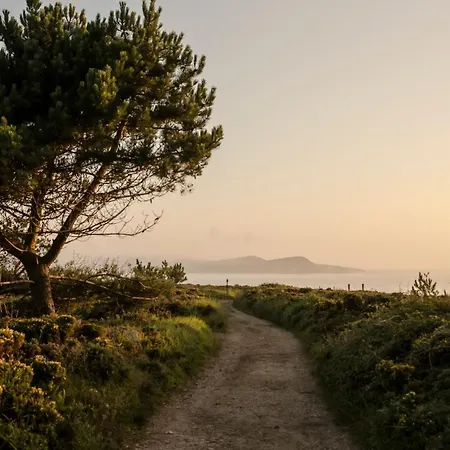Caribe 산신소
